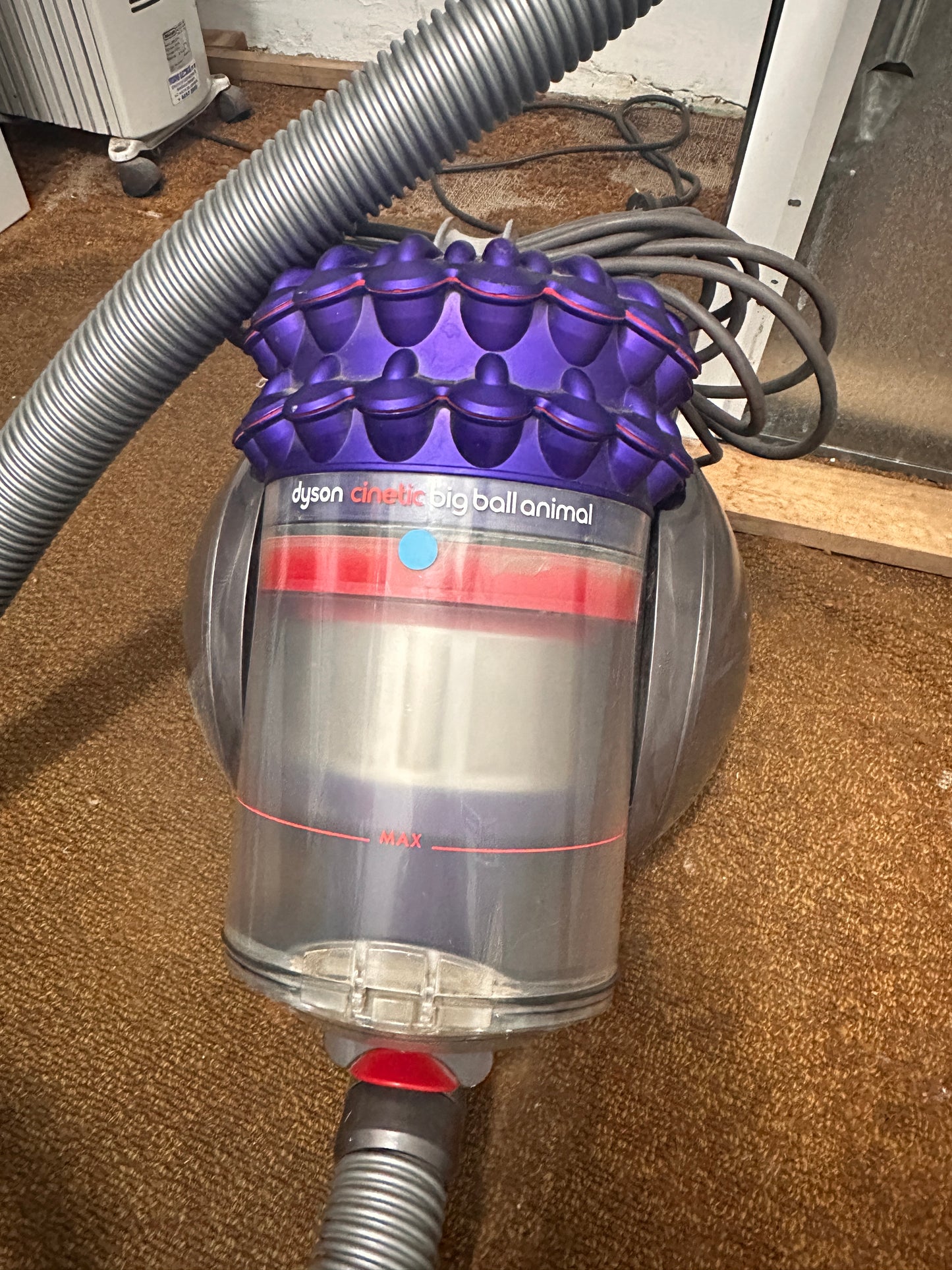 Dyson Cinetic Big Ball Animal Vacuum Cleaner
